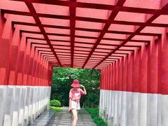 -重庆彩云湖湿地公园