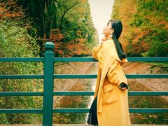 -东平国家森林公园