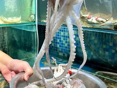 -苏雅经典名食(国际海水浴场店)