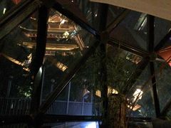 露天位-巴别塔法餐舍(朝阳店)