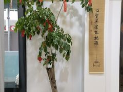 -麦悠悠·SPA·推拿(沈杜公路地铁站店)