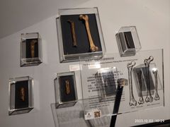 -北京周口店北京人遗址博物馆