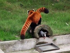 -西安秦岭野生动物园