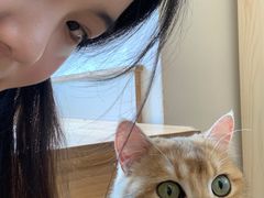 -Let's go狗咖·猫咖·奶狗·桌游(春熙路IFS店)
