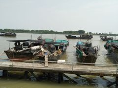 -南沙十九涌渔人码头-南门