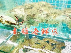 水产区-白仁仔· 活烤海鲜 宵夜(豫园店)