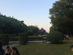 -中山大学学者灵芝(园南路店)