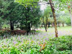 -滨河世纪广场公园