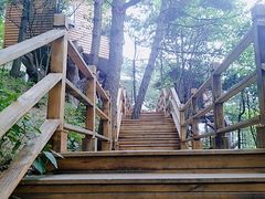 -塔云山