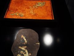 -盘龙城遗址博物院