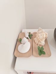 -VE专注问题肌·赛诺龙&科学美肤中心