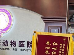 -宠爱国际动物医院·疑难骨科·心肾内科·皮肤科(太阳宫店)