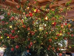 -八府香鸭·啫啫煲(华山路店)