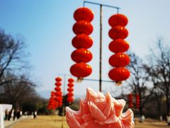 -梅花山(明孝陵内)
