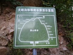 -大岭沟猕猴桃谷风景区