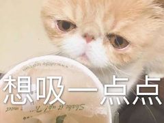 -1点点(竹山路店)