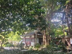 -西湖公园(鼓楼区)