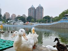 -团结湖公园