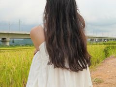 -光明小镇欢乐田园