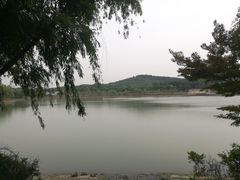 -羊山湖公园