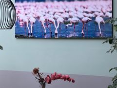 -DK45丹麦家居生活馆·依诺维绅(798店)