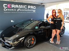 -珠海尊车汇龙膜精英店