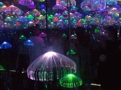 -武汉5D星空错觉艺术馆(中心百货店)