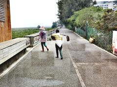 -北海金海湾红树林生态旅游区