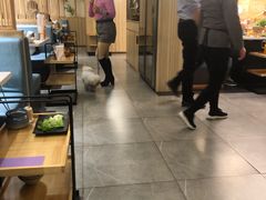 大堂-菌子鲜汤野生菌锅