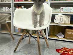 -安安宠医·臻爱宠物医院·宠保定点(营门口路分院)