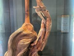 -兰亭风景区