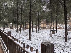 -少林寺欢喜地素斋馆