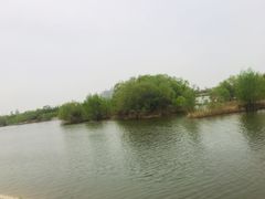 -灞河西岸滨河公园