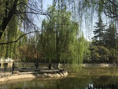 -西安市长乐公园