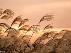 -四季暖堂·融合江浙菜(N1955创业园店)