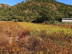-蟠龙山长城景区