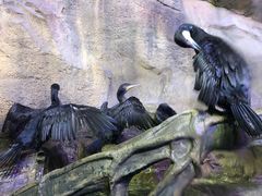 -波塞冬旅游度假区