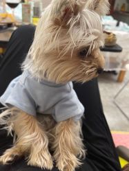 -深圳春天阳光医院·轮廓抗衰中心