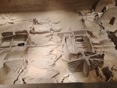 -洛阳周王城天子驾六博物馆