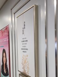 -镁连社·美联社
