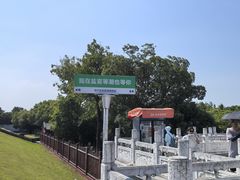 -观潮胜地公园