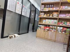 -四月宠物医院·猫专科·心脏专科·内科(转塘店)