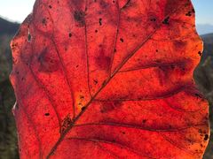 -北京西山国家森林公园