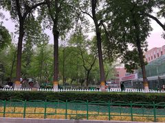 -双榆树公园