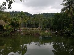 -呀诺达热带雨林