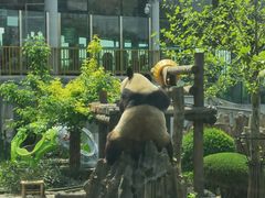 -大连森林动物园