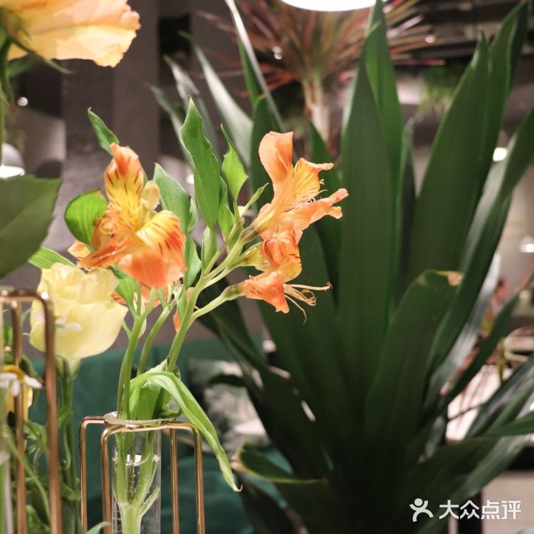 探店天津排名第三的西餐厅[调皮]