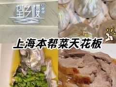 -望乡楼上海菜(日月光店)