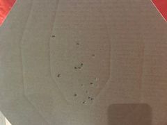 -湖南铳毅堂射击运动俱乐部有限公司
