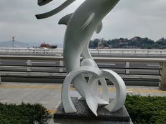 -海豚湾扬帆出海帆船游艇